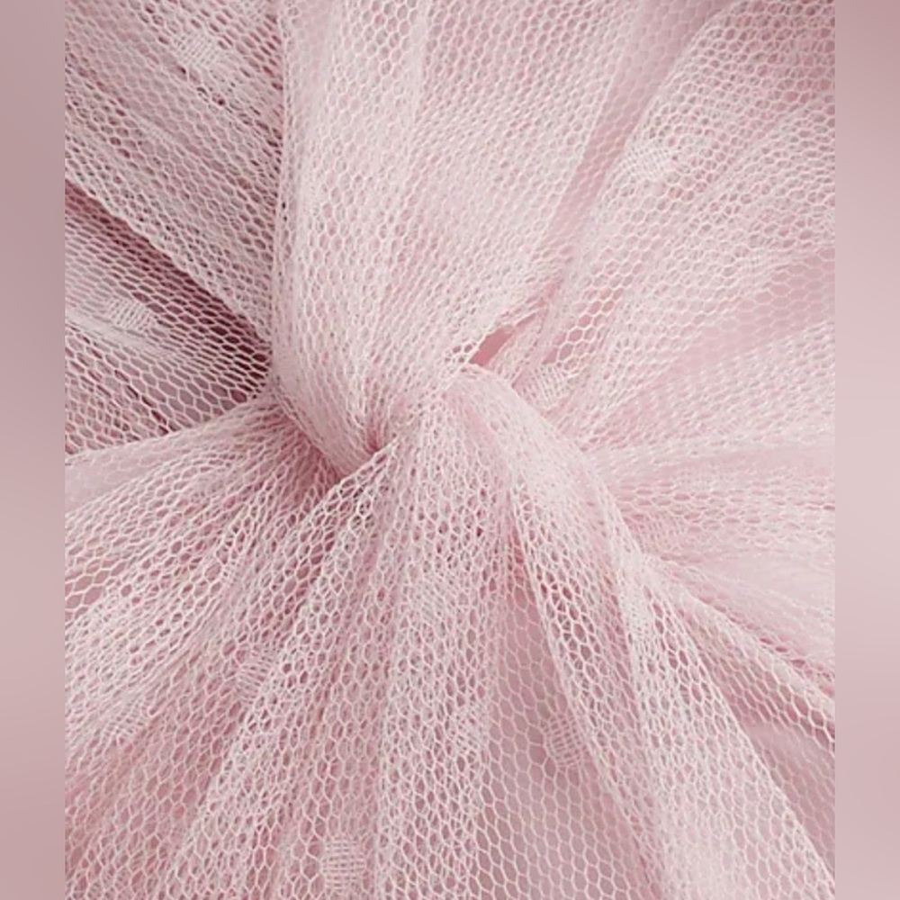 Express Pink Sheer Ruffle Top - Picture 5 of 7
